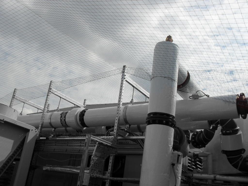 Bird Control in Bracknell, Berkshire